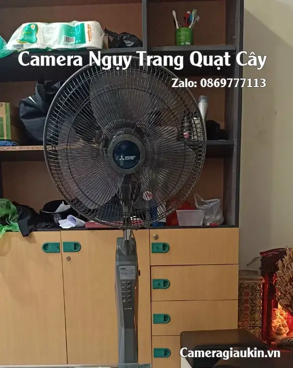 Camera Ngụy Trang Quạt Cây